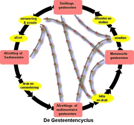  Wortelwormen: De meesters van metamorfose en sedimentatie!